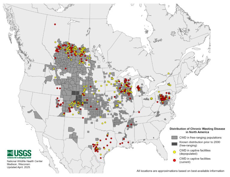 What Hunters Need to Know About CWD: Crucial Updates for the Season